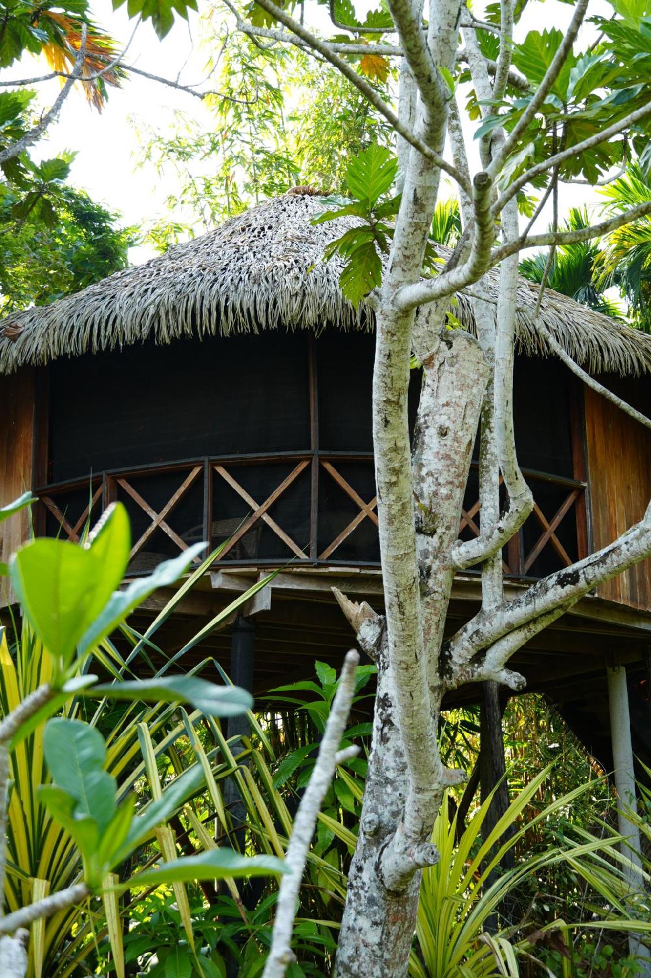 Huma Terra Lodges Hikkaduwa Exterior foto